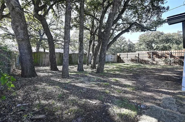 a view of a backyard with trees