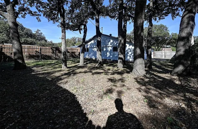a view of a park with tree s