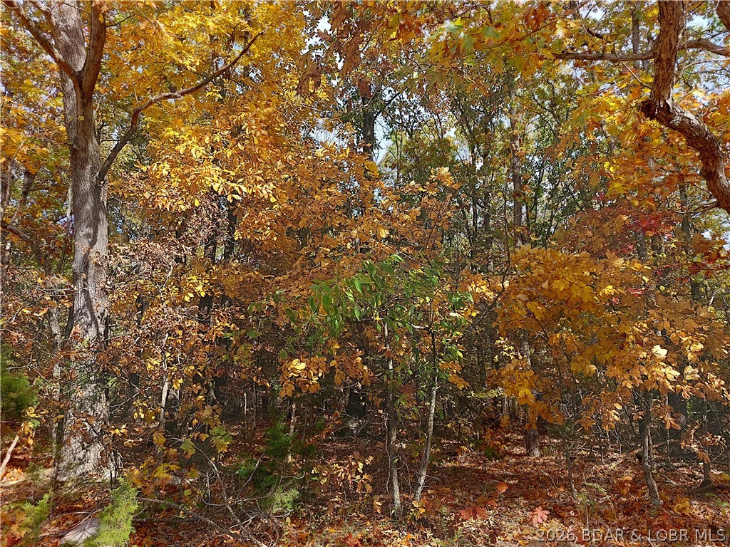 15563 Peach Tree Road Stover, MO 65078 - Photo 27 of 69 Beautiful fall foliage!