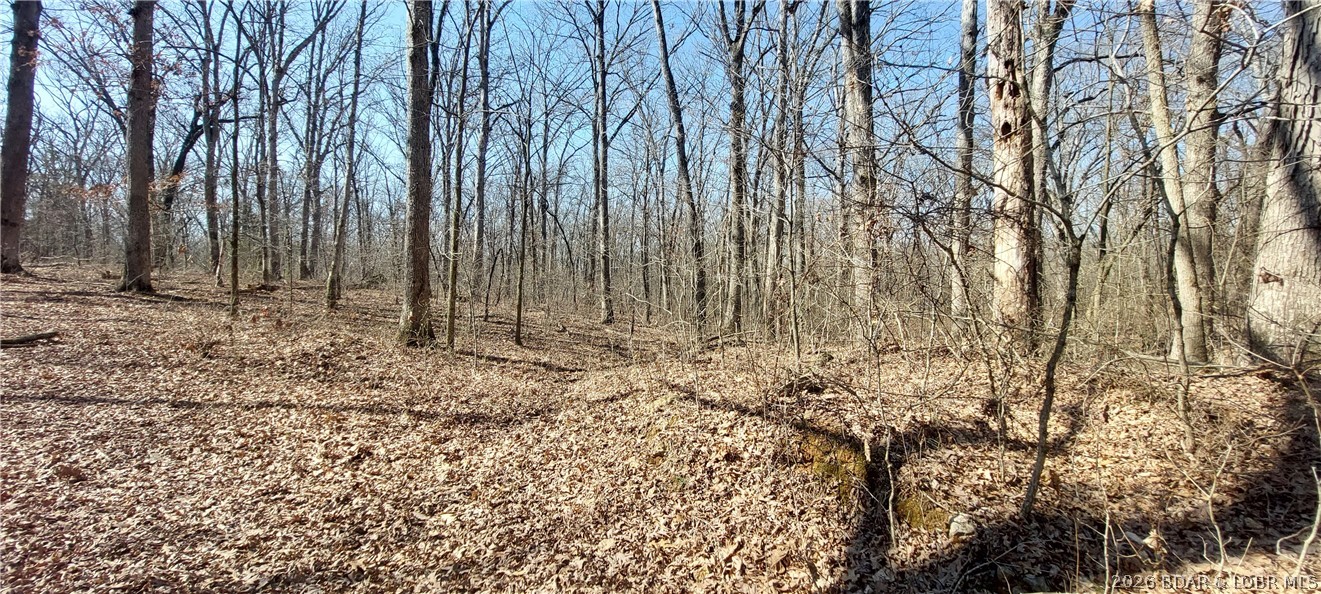 15563 Peach Tree Road Stover, MO 65078 - Photo 28 of 69 Wooded area at the rear of the property will soon