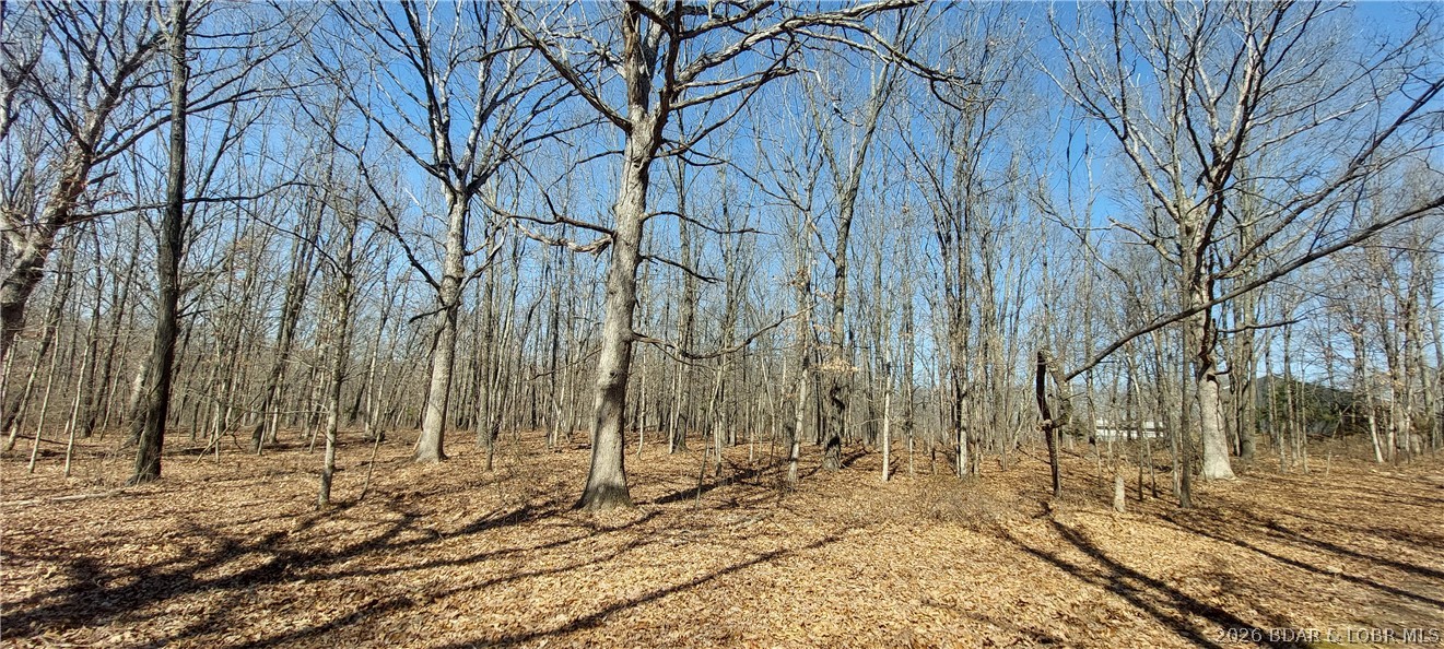 15563 Peach Tree Road Stover, MO 65078 - Photo 29 of 69 Wooded area that could be the site of your dream h