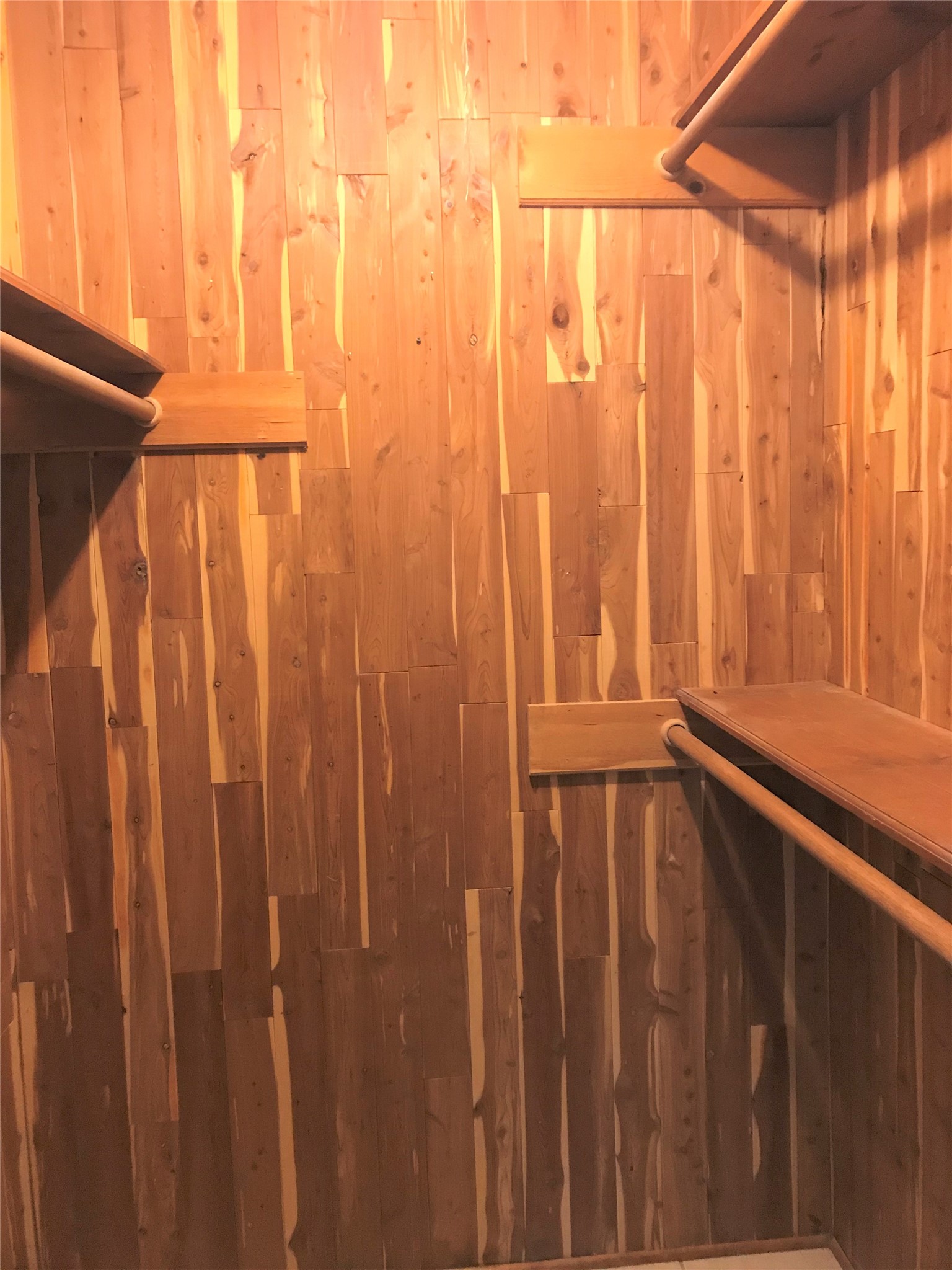 12331 Scarcella Lane Meadows Place, TX 77477 - Photo 9 of 13 This is a spacious, cedar-lined walk-in closet featuring multiple wooden shelves and hanging rods, offering ample storage and a pleasant, natural aroma.