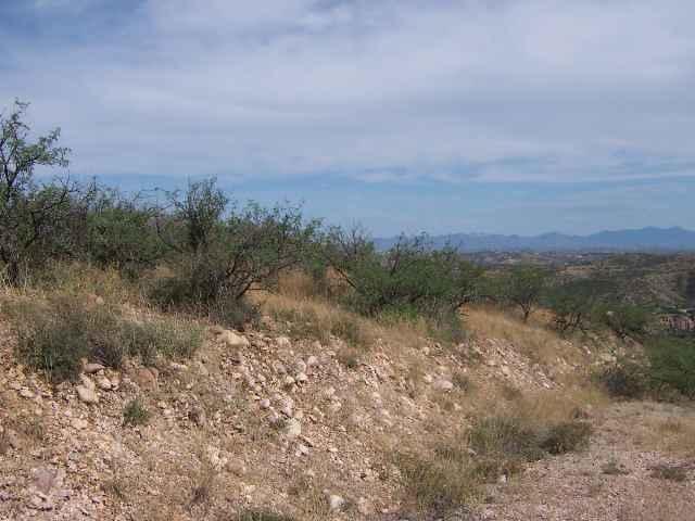 589 Yate Lane Rio Rico, AZ 85648 - Photo 1 of 1