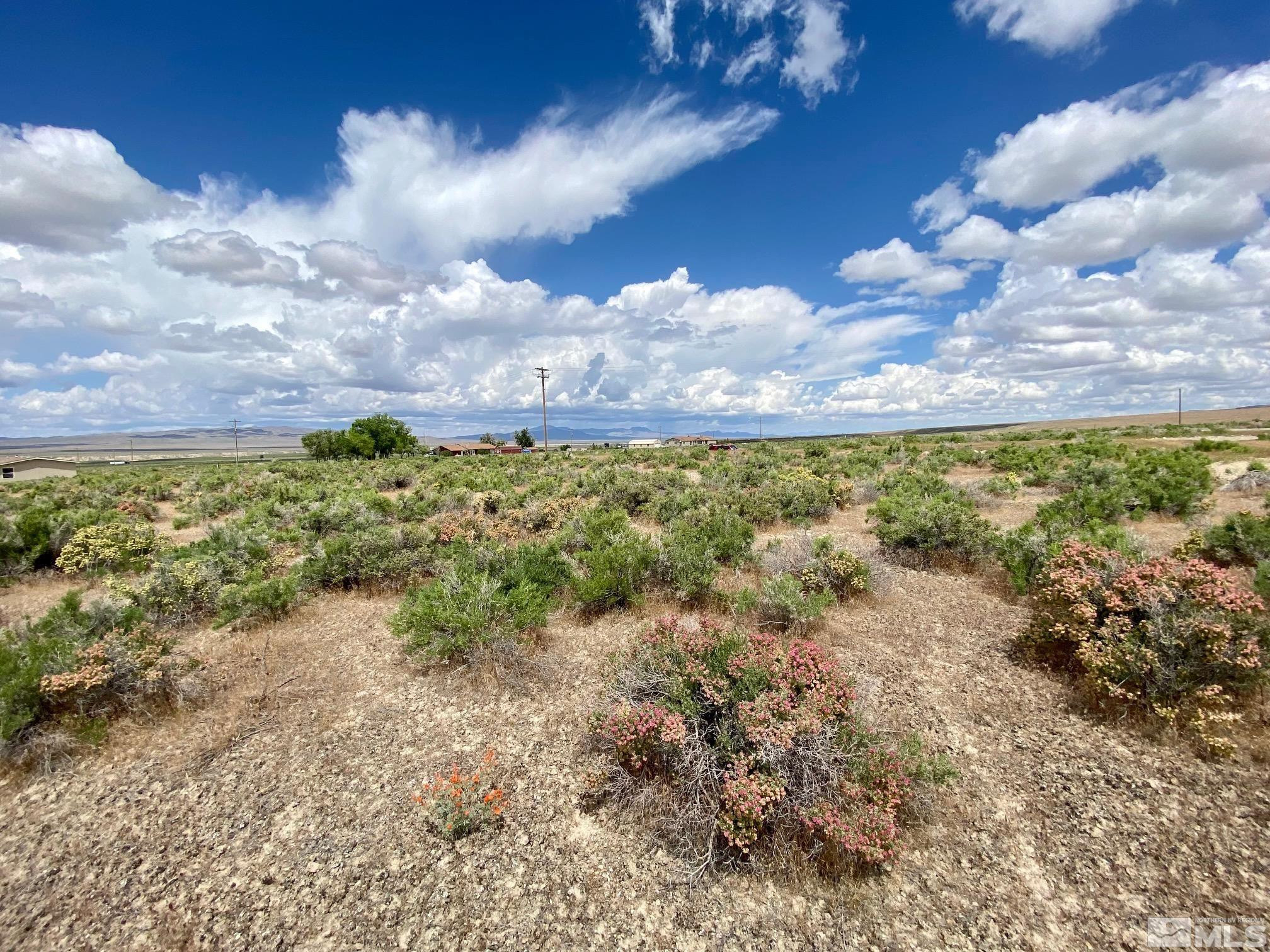 11655 Shasta Lake Road Lovelock, NV 89419 - Photo 12 of 33 Photo 12