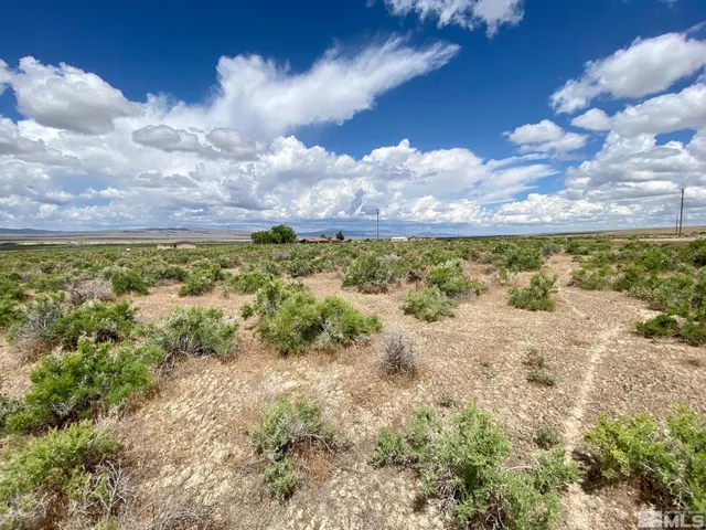 a view of a yard with an ocean beach