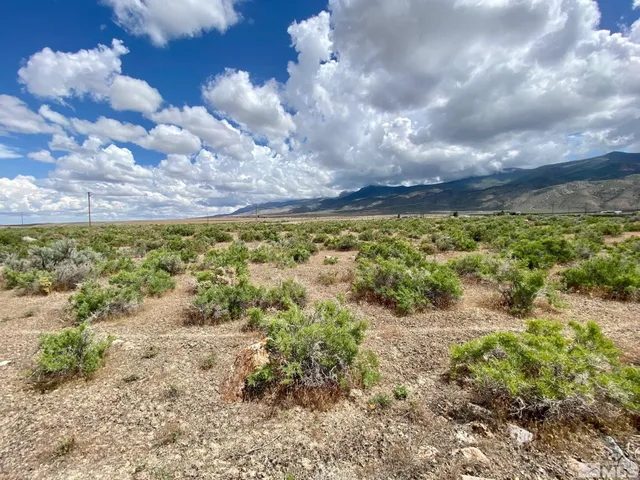 a view of a pathway with a yard