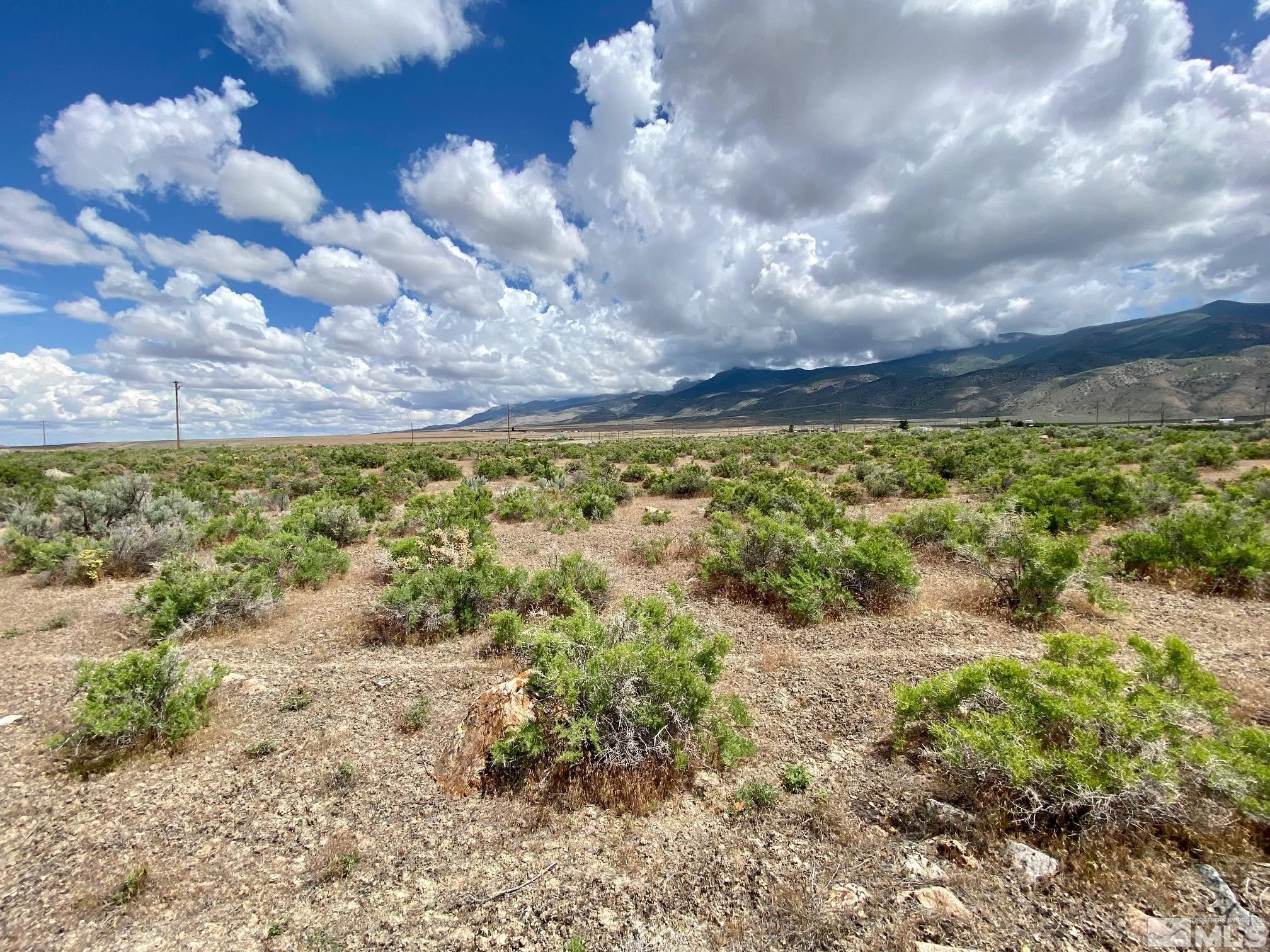 11655 Shasta Lake Road Lovelock, NV 89419 - Photo 4 of 33 Photo 4