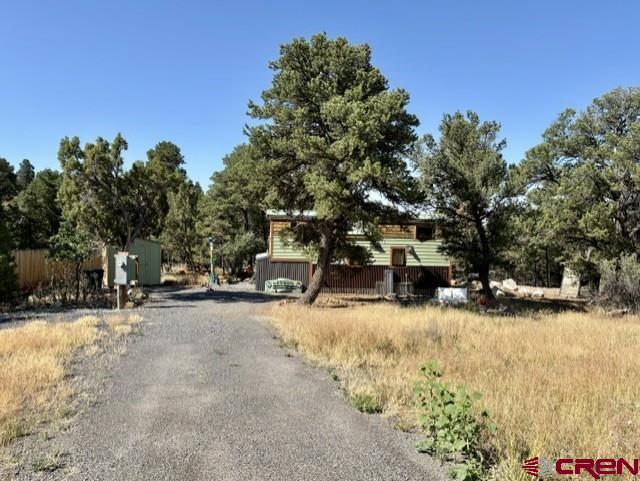 24888 Timothy Road Cedaredge, CO 81413 - Photo 5 of 19