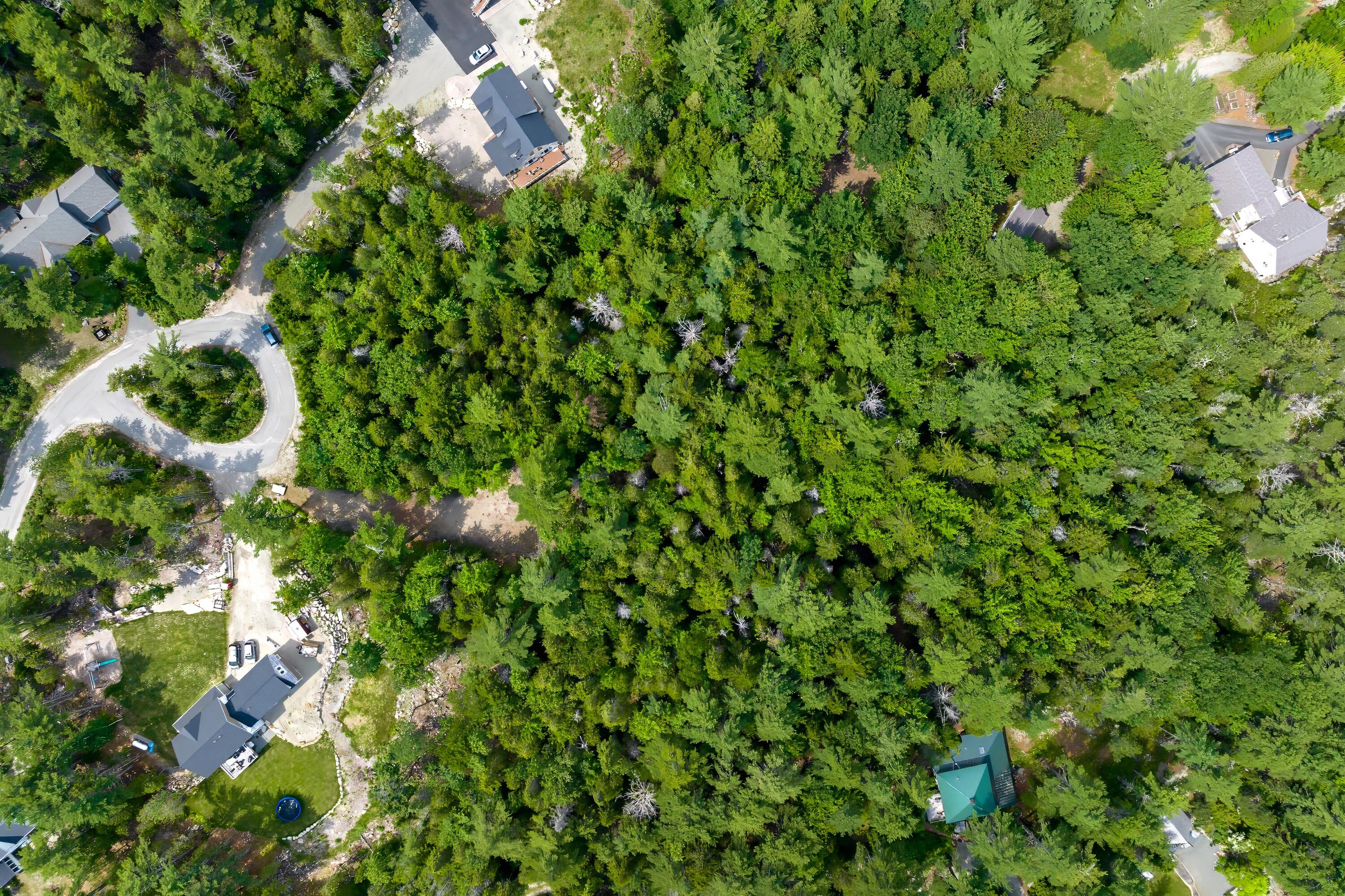 Lot 4 Echo Wds Road Mount Desert, ME 04660 - Photo 7 of 18 overhead