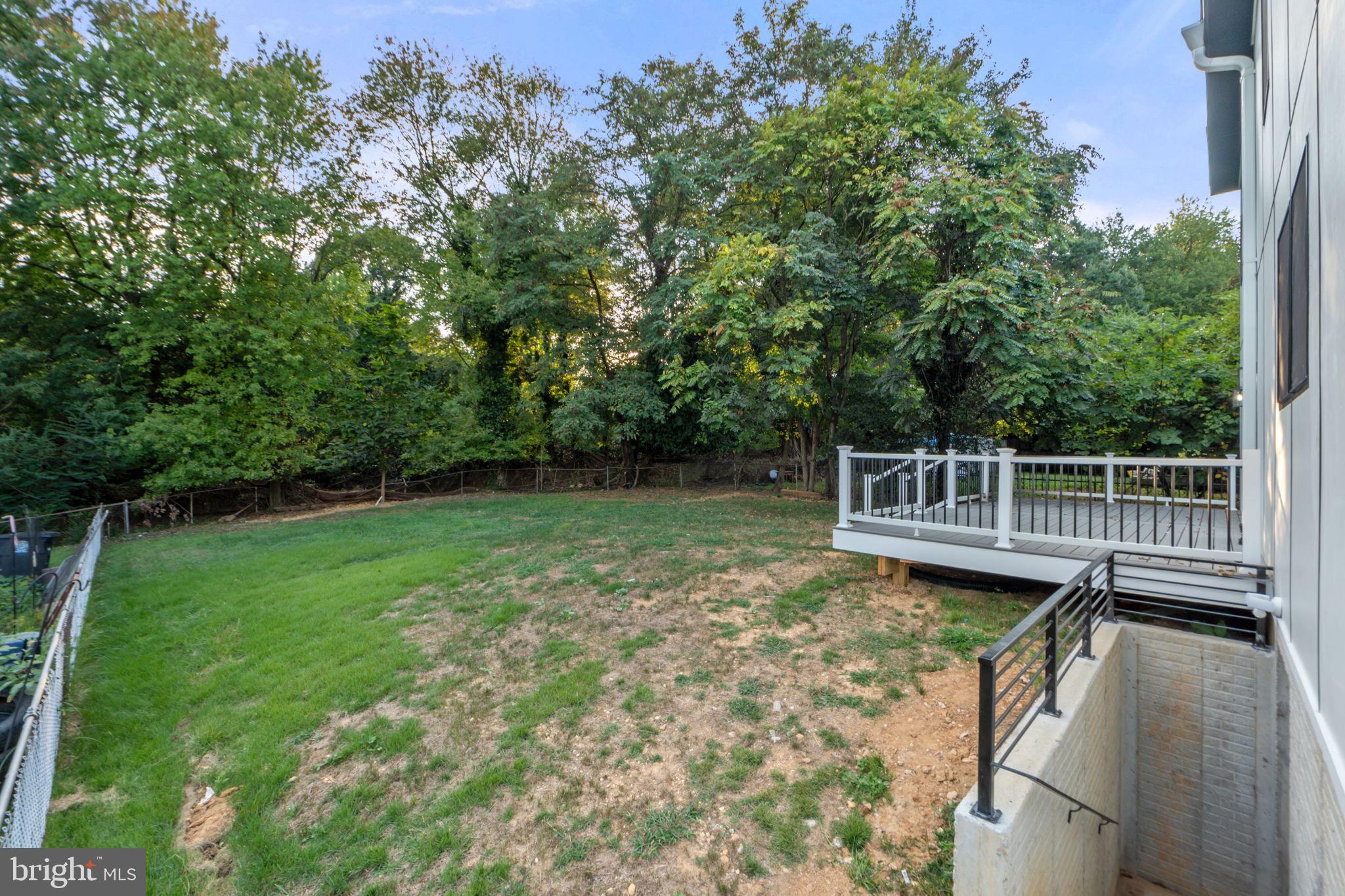 1611 Dayton Road Hyattsville, MD 20783 - Photo 49 of 54 Lush green yard bordered by serene trees.