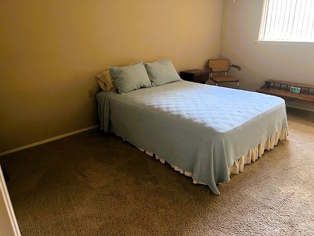 8639 Cedarbrake Drive Spring Valley Village, TX 77055 - Photo 10 of 26 Discover the charm of this inviting primary bedroom, featuring ample natural light, a cozy carpeted floor, and a ceiling fan for ultimate comfort.