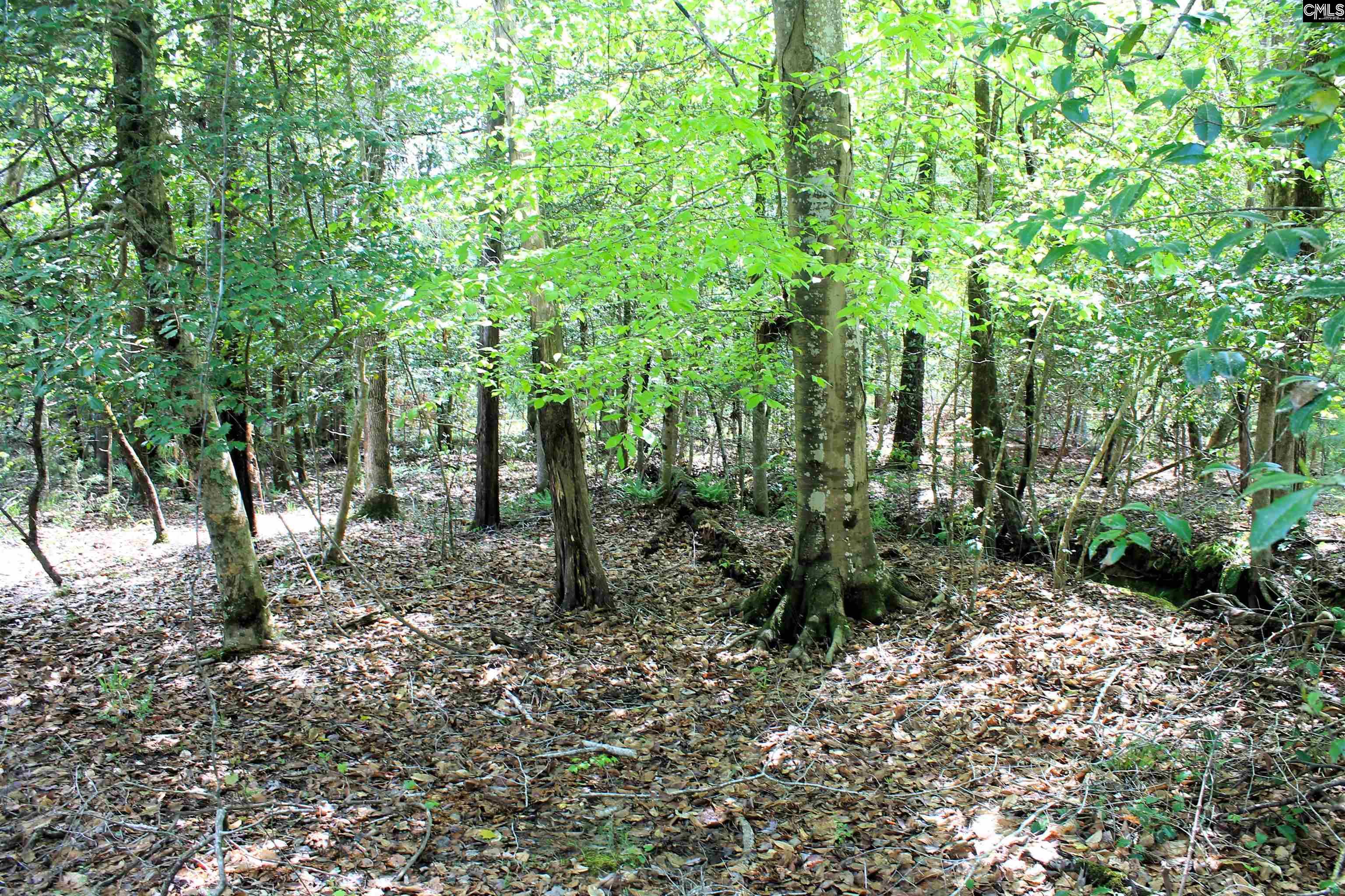 Tbd Crooked Creek Road Chapin, SC 29036 - Photo 5 of 20