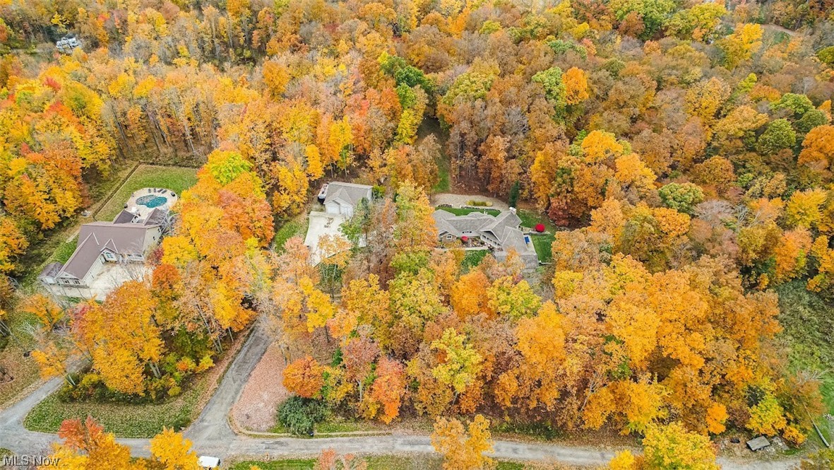 12151 Girdled Road Painesville, OH 44077 - Photo 34 of 35 View of bird's eye view