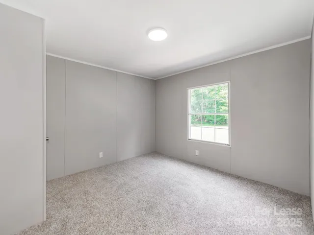 a view of a field with plants and trees in the background