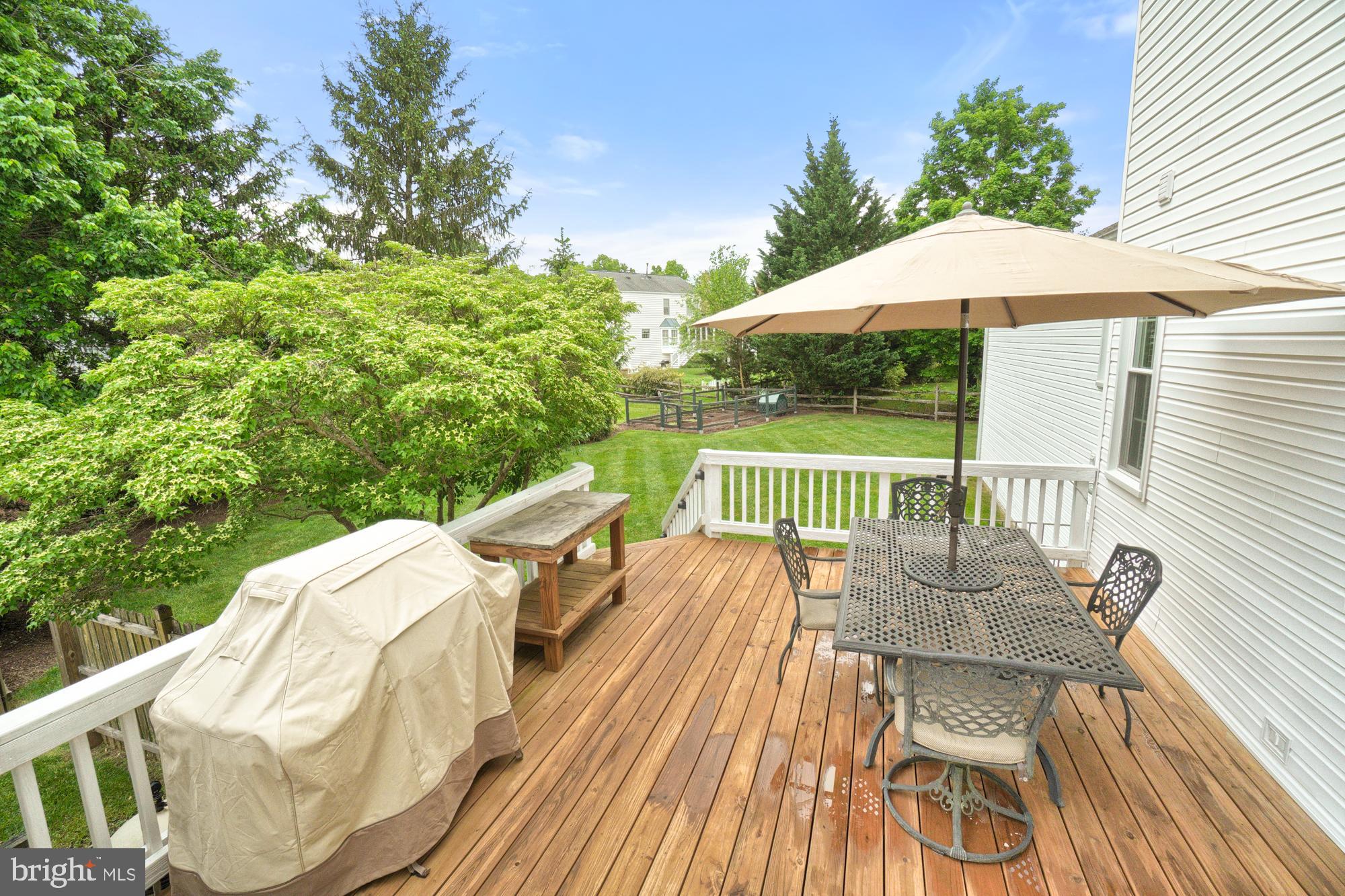 17247 Spates Hill Road Poolesville, MD 20837 - Photo 21 of 90 Be prepared to spend the summer outdoors!