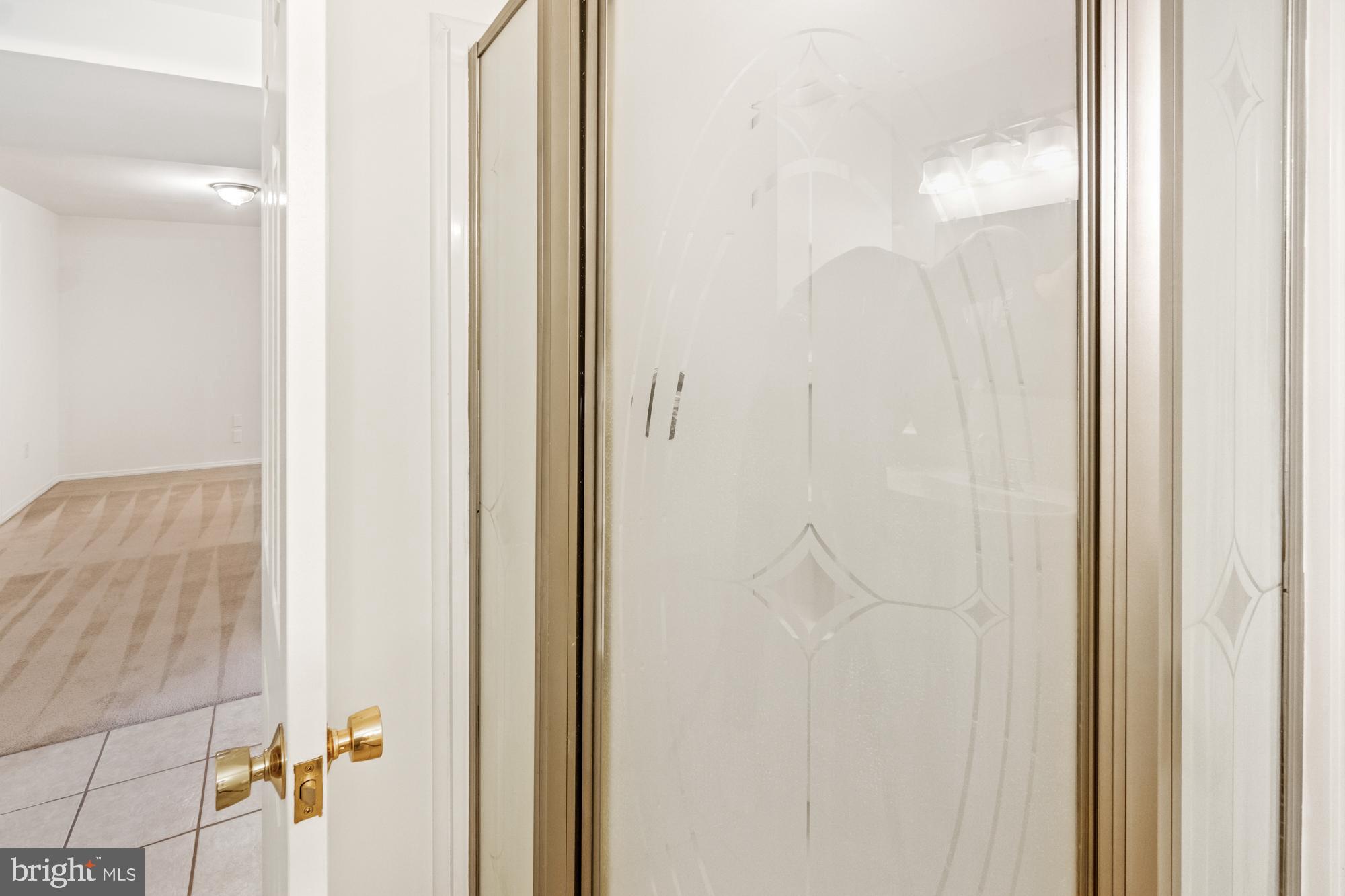 17247 Spates Hill Road Poolesville, MD 20837 - Photo 62 of 90 Shower on lower level
