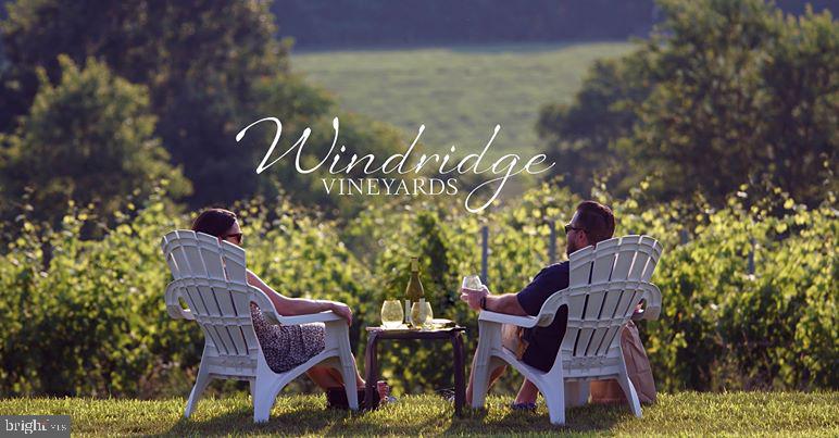 17247 Spates Hill Road Poolesville, MD 20837 - Photo 80 of 90 or Windridge Vineyards. Welcome to country living!