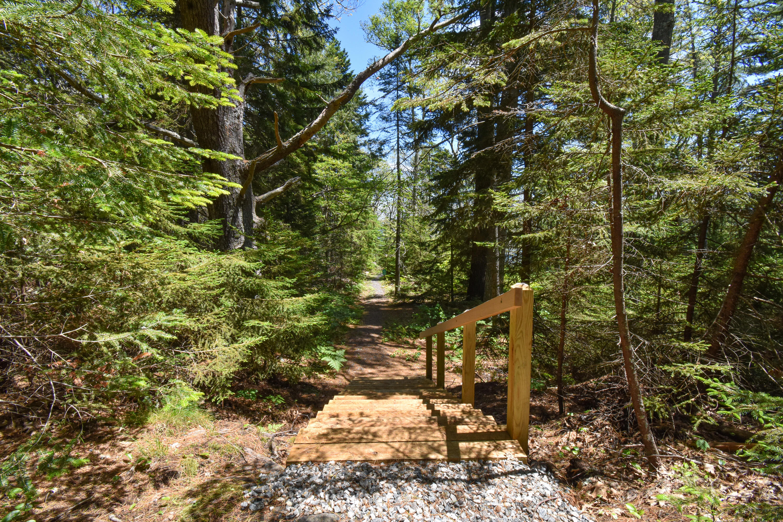 143 Meadow Cove Road East Boothbay, ME 04544 - Photo 48 of 78 143MeadowCoveRd.Boothbay-52