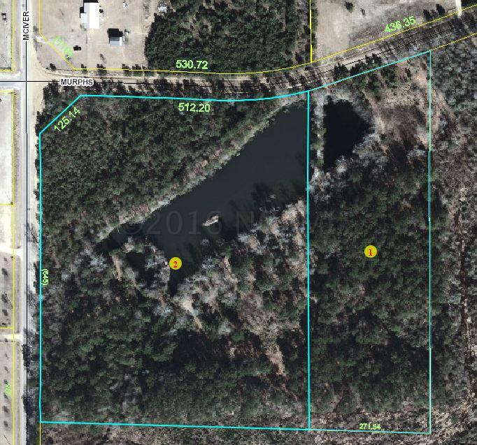 680 McIver Road Lumber Bridge, NC 28357 - Photo 3 of 4 Aerial2