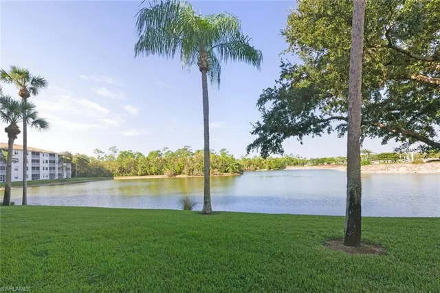 a view of lake with palm trees