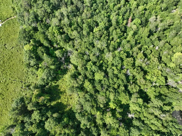 $220,000 | Tbd Hillerman Road Northwest, Hackensack, MN 56452