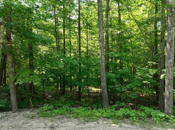 $220,000 | Tbd Hillerman Road Northwest, Hackensack, MN 56452