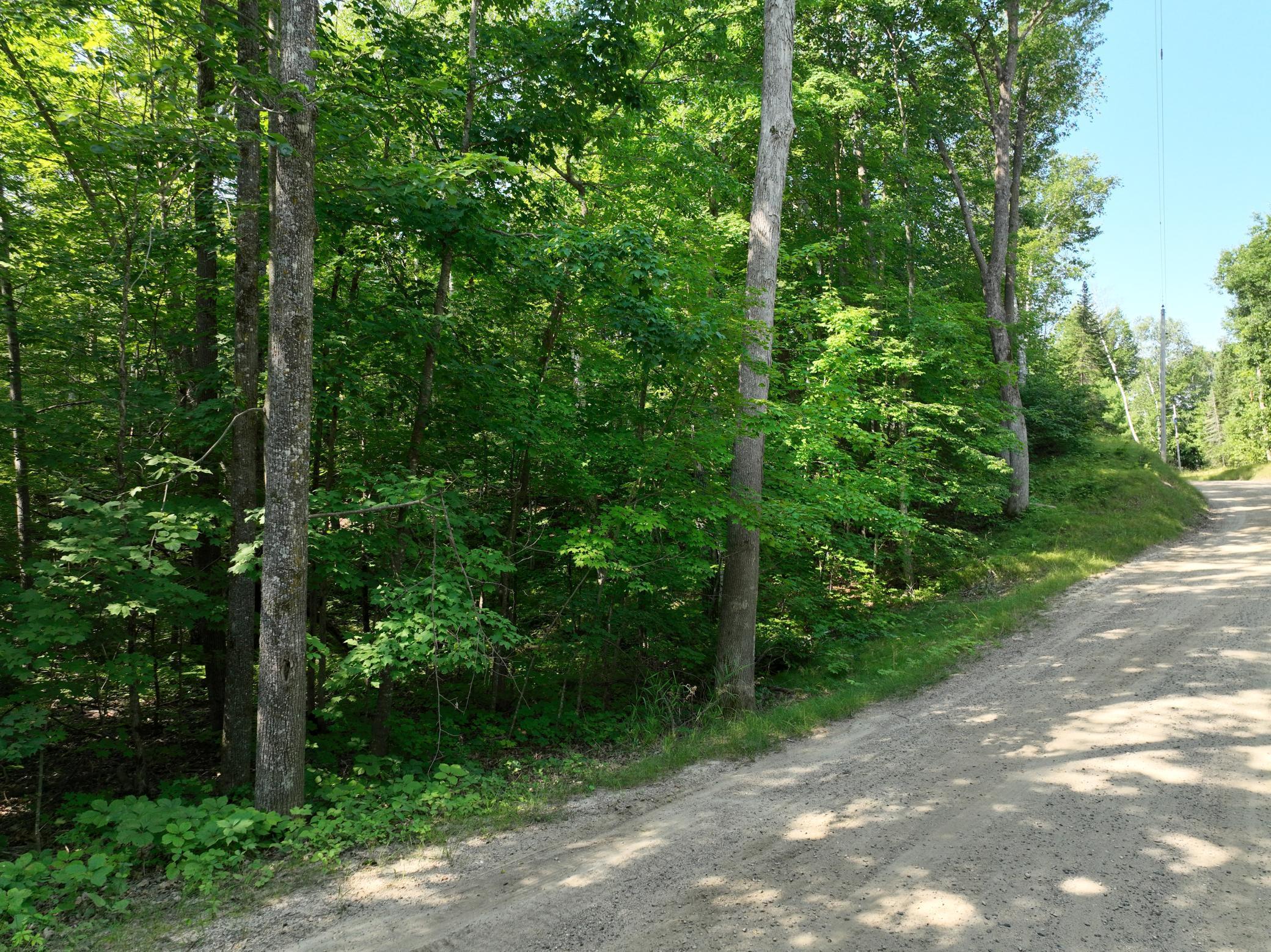 Tbd Hillerman Road Northwest Hackensack, MN 56452 - Photo 6 of 11