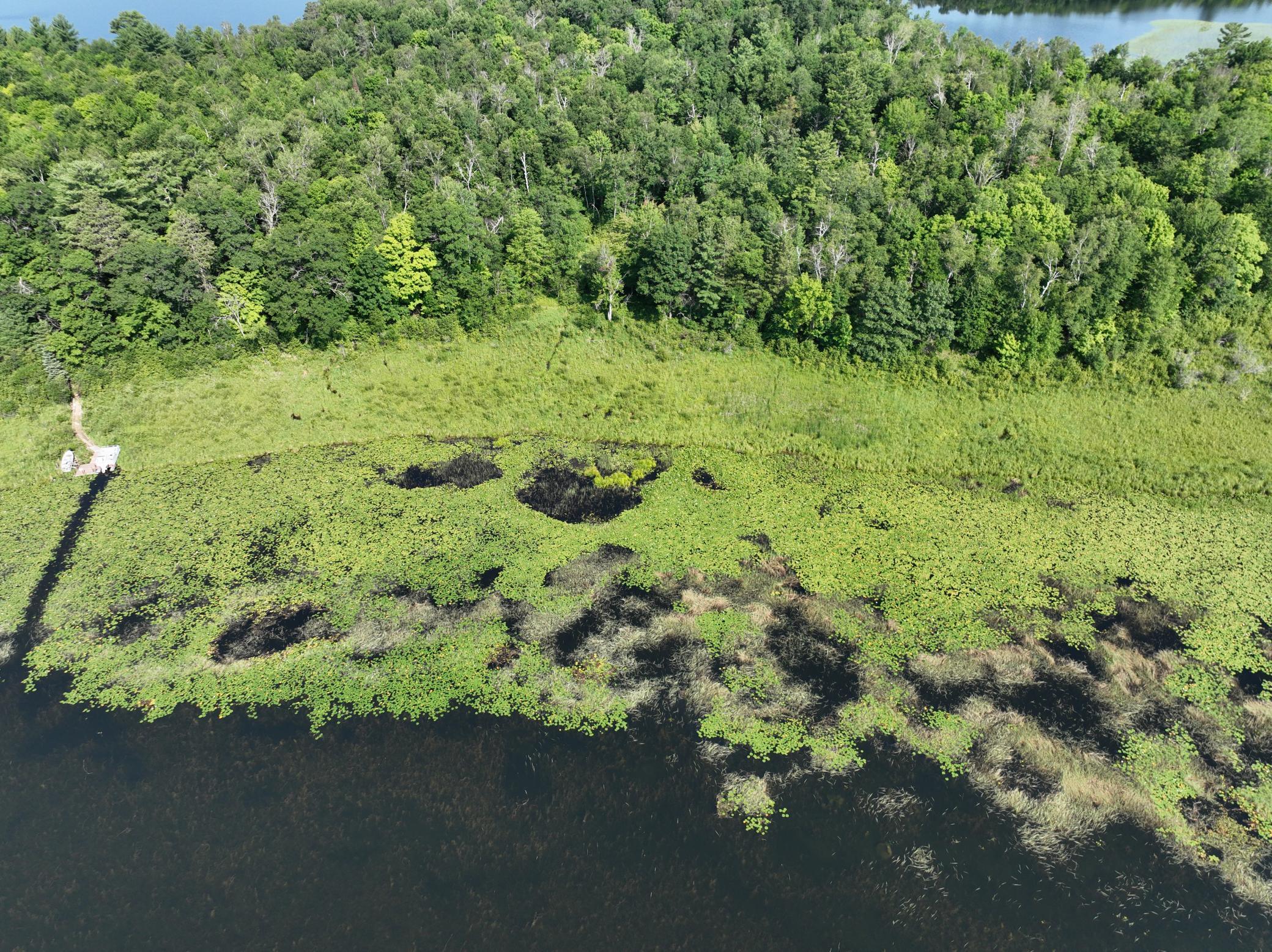 Tbd Hillerman Road Northwest Hackensack, MN 56452 - Photo 7 of 11