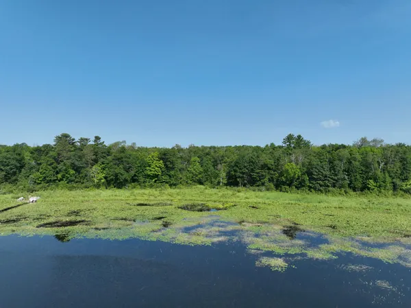 $220,000 | Tbd Hillerman Road Northwest, Hackensack, MN 56452