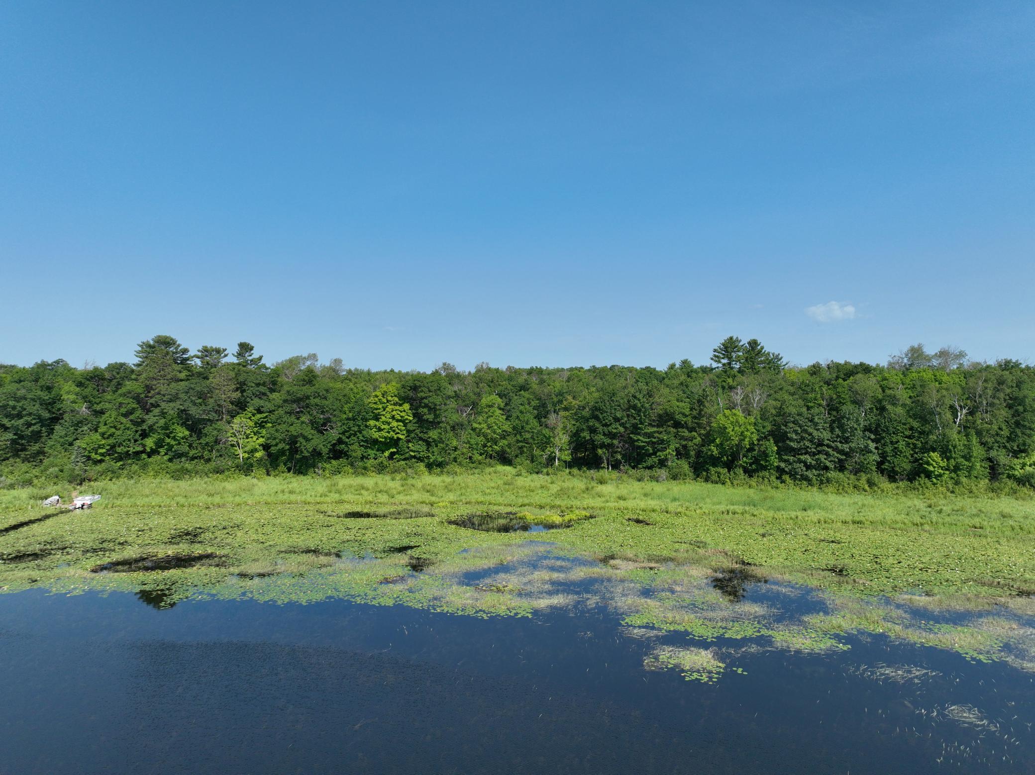 Tbd Hillerman Road Northwest Hackensack, MN 56452 - Photo 8 of 11