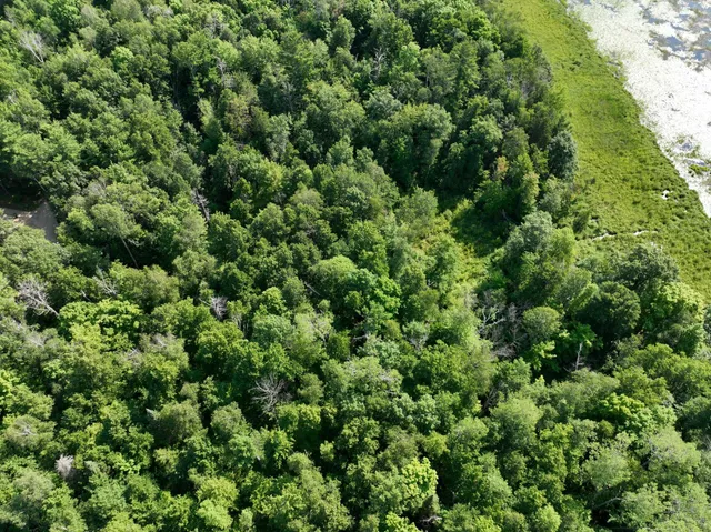 $220,000 | Tbd Hillerman Road Northwest, Hackensack, MN 56452