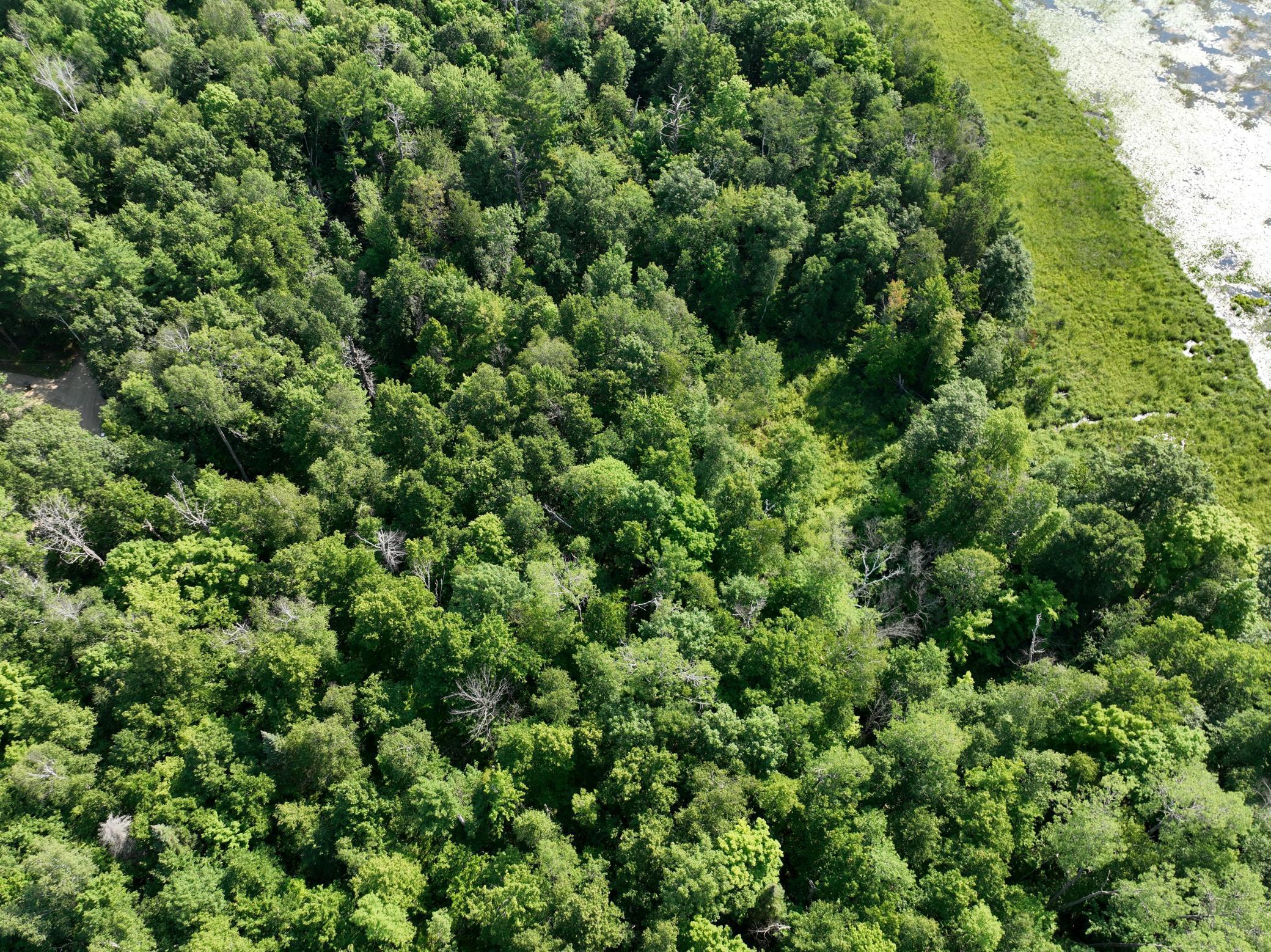 Tbd Hillerman Road Northwest Hackensack, MN 56452 - Photo 10 of 11