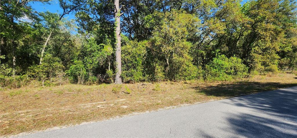 Tbd Southwest Viburnum Road Dunnellon, FL 34431 - Photo 2 of 25 a view of a yard with a tree