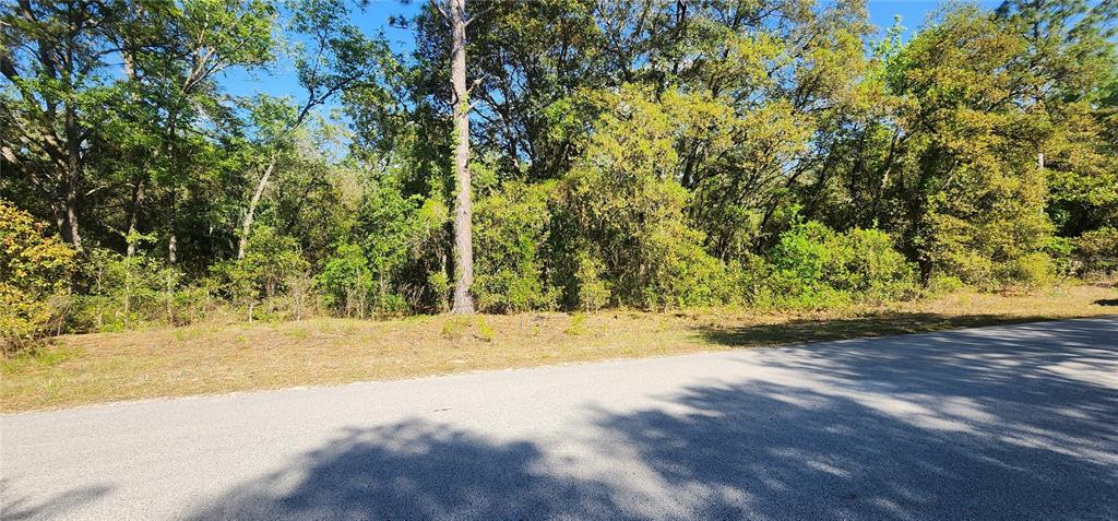 Tbd Southwest Viburnum Road Dunnellon, FL 34431 - Photo 3 of 25 a view of a yard with a tree