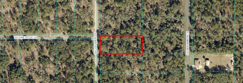 Tbd Southwest Viburnum Road Dunnellon, FL 34431 - Photo 5 of 25 a view of yard