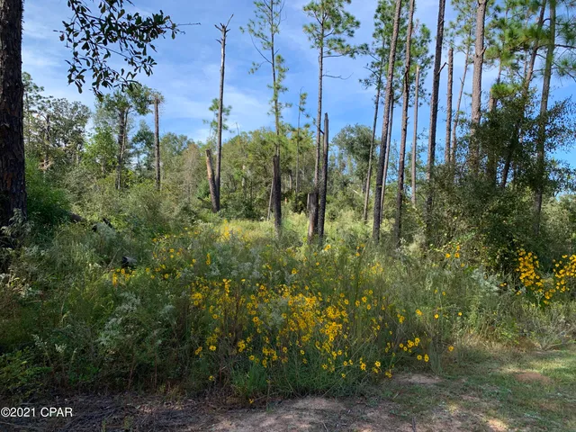 $42,000 | 0 Drury Lane, Alford, FL 32420