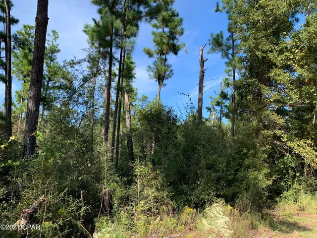 $42,000 | 0 Drury Lane, Alford, FL 32420