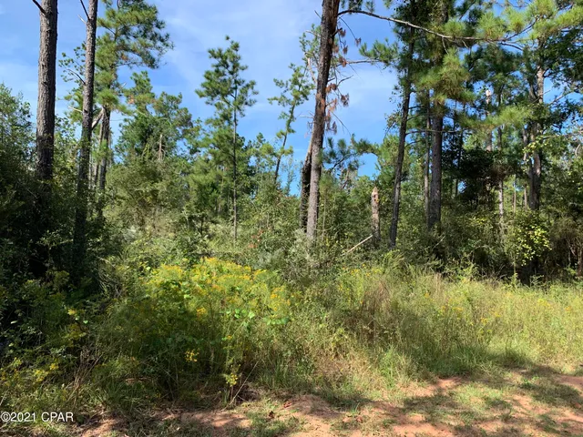 $42,000 | 0 Drury Lane, Alford, FL 32420