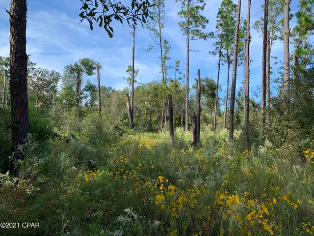 $42,000 | 0 Drury Lane, Alford, FL 32420