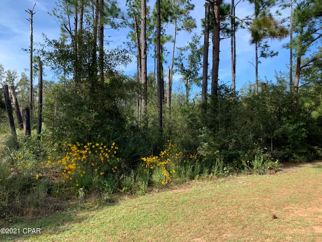 $42,000 | 0 Drury Lane, Alford, FL 32420