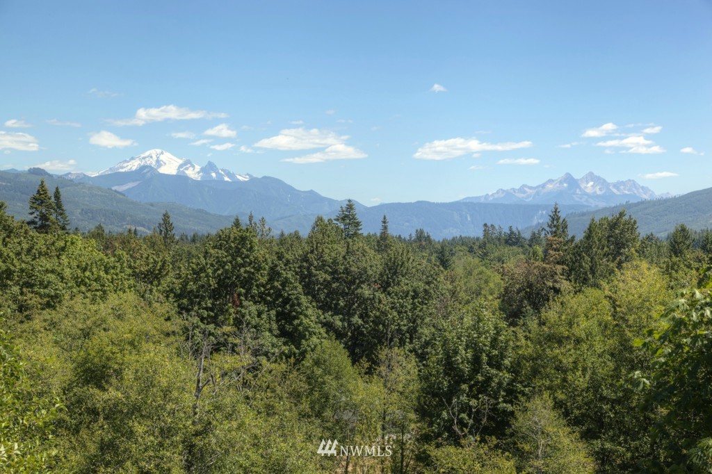 5954 Fazon Road Bellingham, WA 98226 - Photo 4 of 25