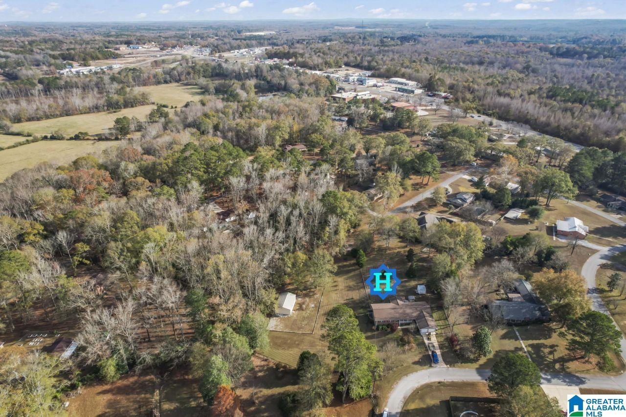 128 Crestview Drive Clanton, AL 35045 - Photo 51 of 54