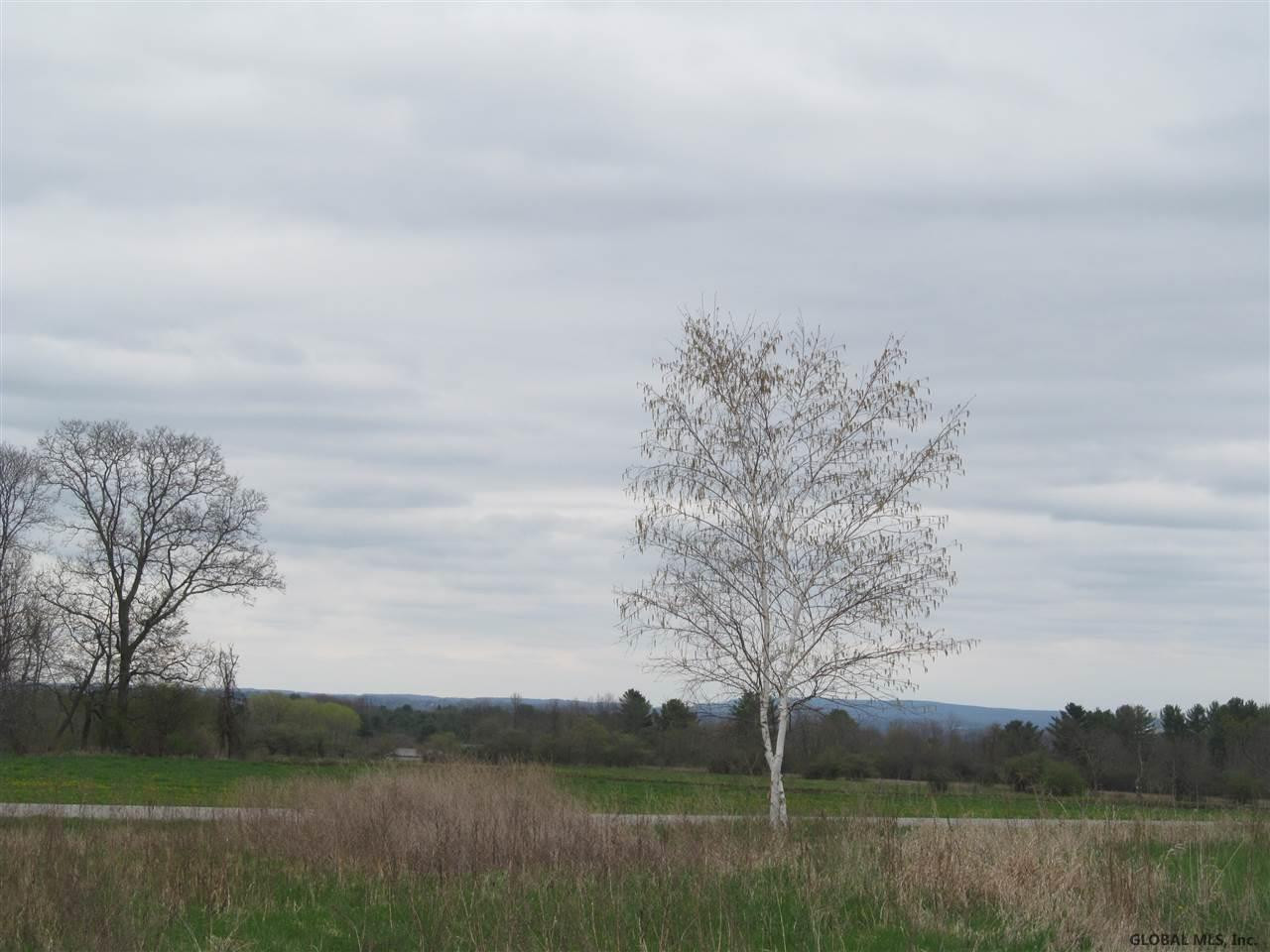 0 Getman Road Fonda, NY 12068 - Photo 3 of 5 Photo 3