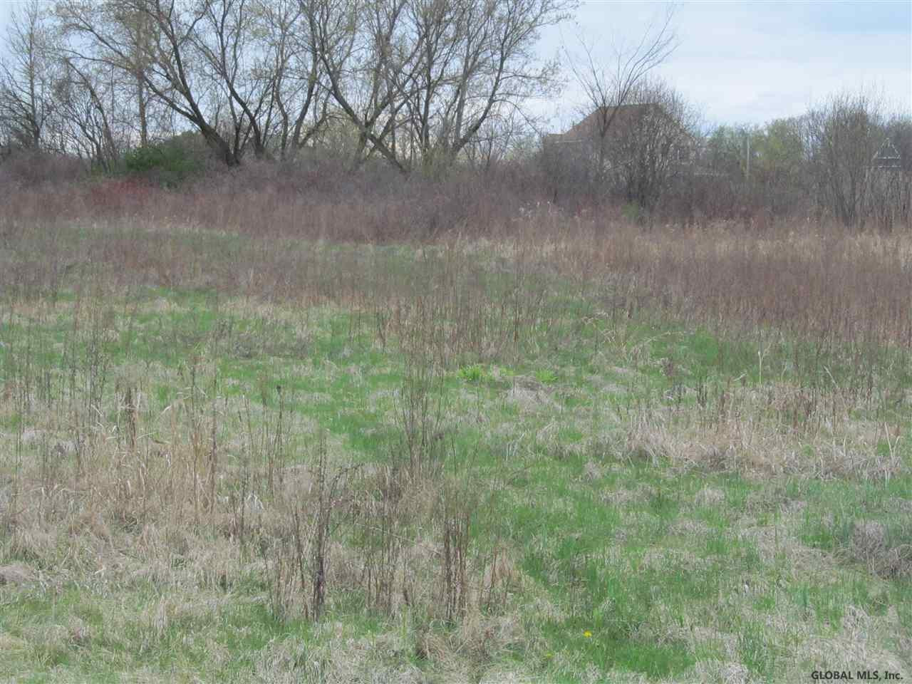 0 Getman Road Fonda, NY 12068 - Photo 4 of 5 Photo 4