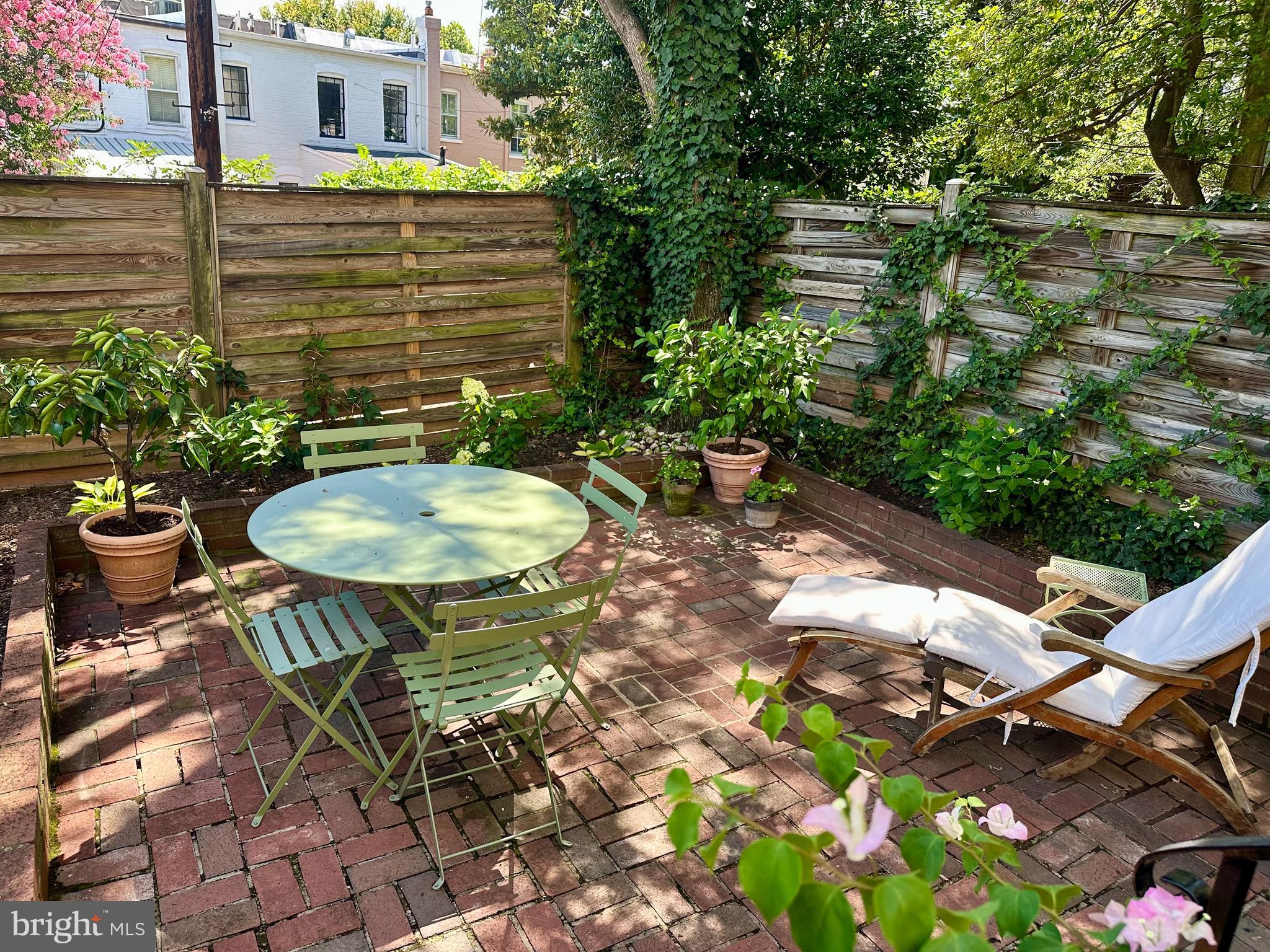 3022 R Street Northwest, Unit 1/2 Washington, DC 20007 - Photo 21 of 25 Private garden in full bloom!