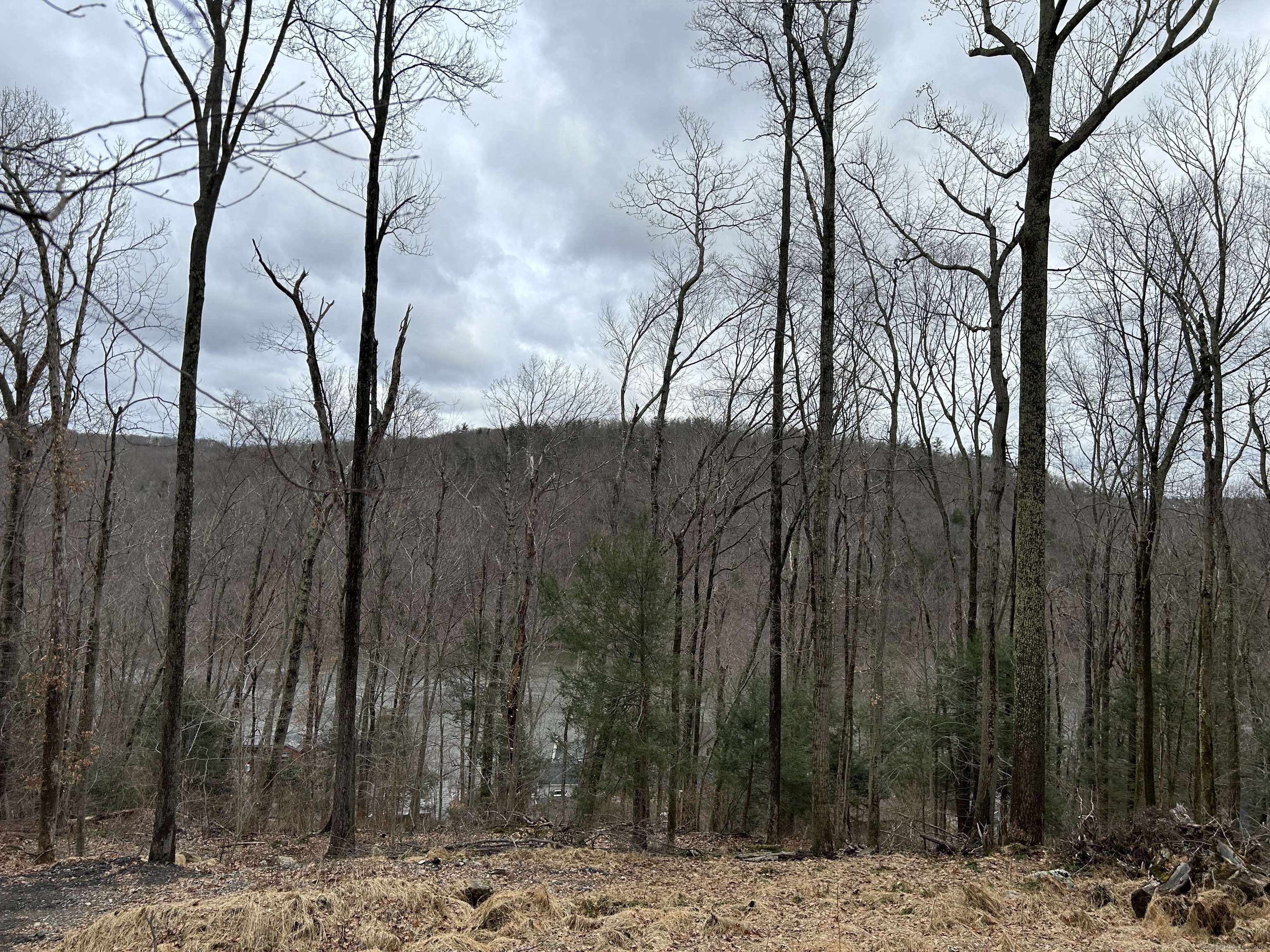 30 Cedarhurst Trail Newtown, CT 06482 - Photo 3 of 13 a view of a backyard of the house