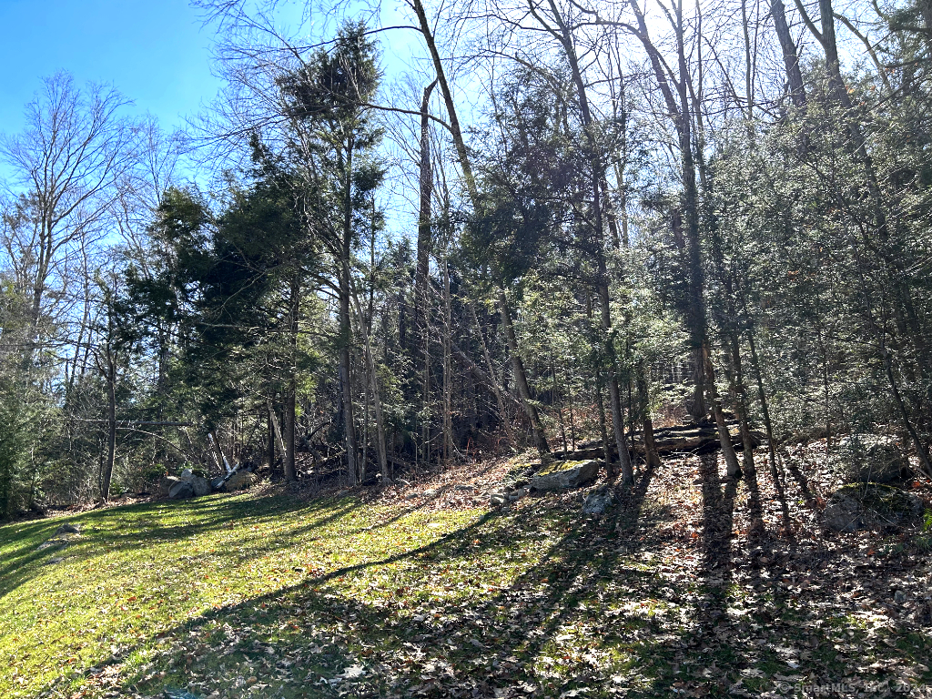 30 Cedarhurst Trail Newtown, CT 06482 - Photo 5 of 13 a view of swimming pool with a yard