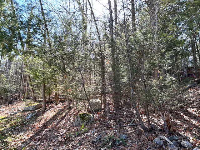 a backyard of a house with lots of tall trees