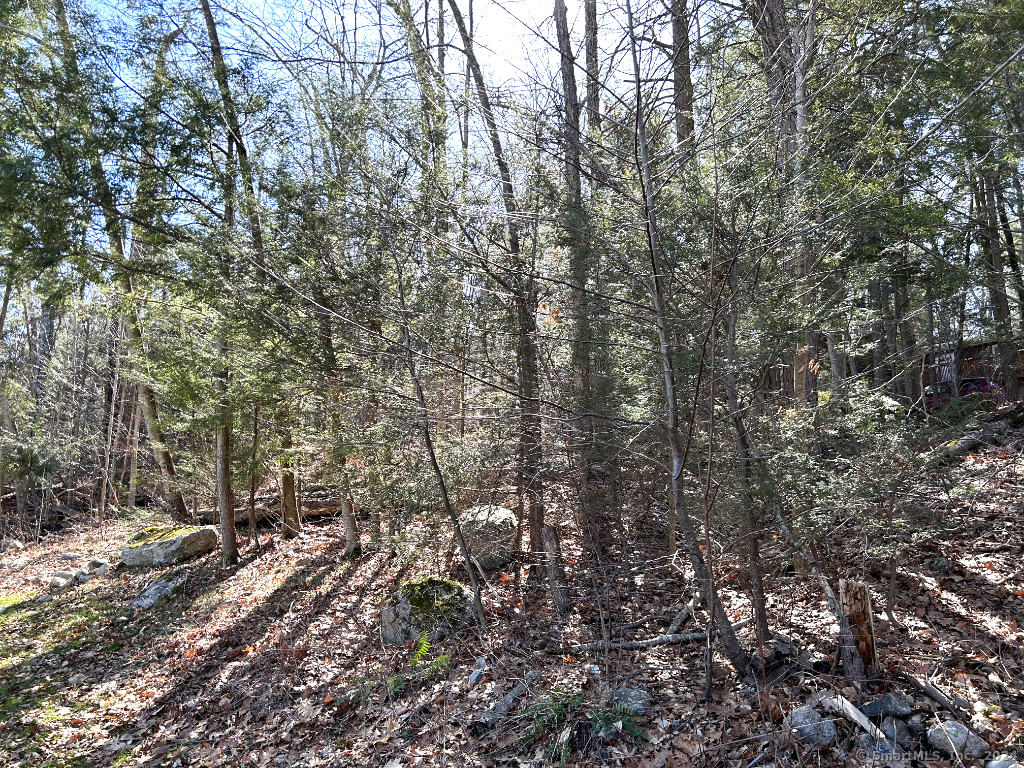 30 Cedarhurst Trail Newtown, CT 06482 - Photo 6 of 13 a view of forest