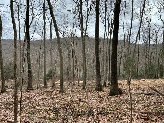 a number plate with trees in the background